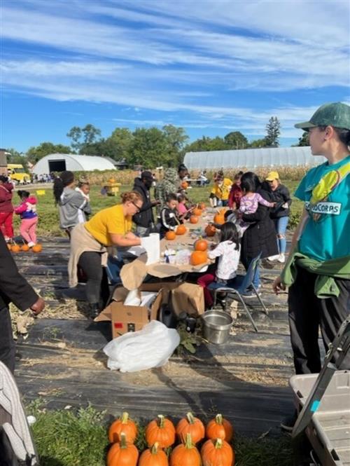 Harvest Fest